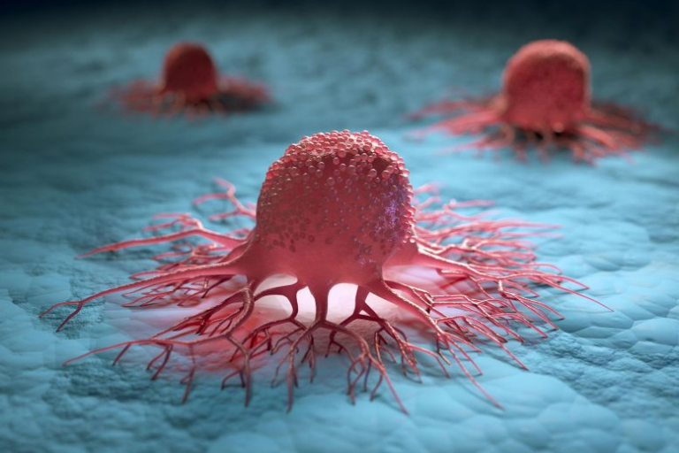 cancer cell